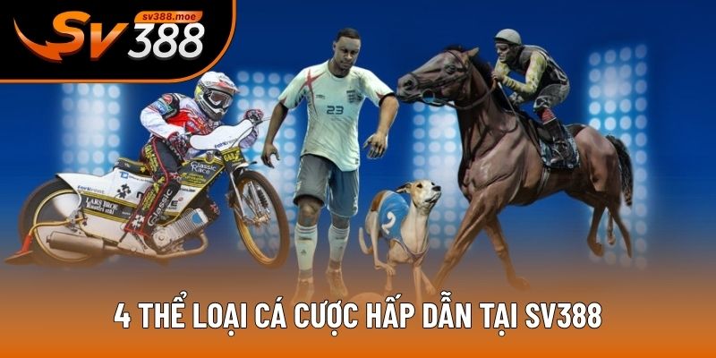 4 thể loại cá cược hấp dẫn tại SV388 4 thể loại cá cược hấp dẫn tại SV388