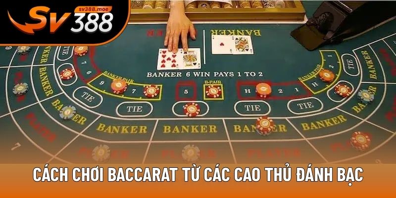 Cách chơi Baccarat từ các cao thủ đánh bạc Cách chơi Baccarat từ các cao thủ đánh bạc