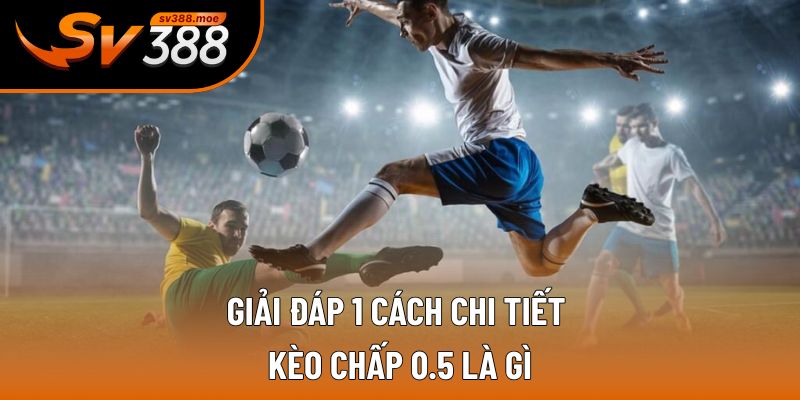 Giải đáp 1 cách chi tiết kèo chấp 0.5 là gì Giải đáp 1 cách chi tiết kèo chấp 0.5 là gì