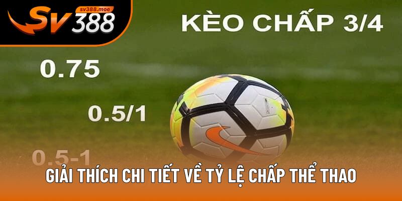 Giải thích chi tiết về tỷ lệ chấp thể thao