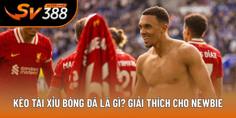Kèo tài xỉu bóng đá là gì? Giải thích cho newbie