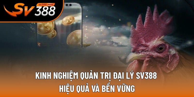 Kinh nghiệm quản trị đại lý SV388 hiệu quả và bền vững