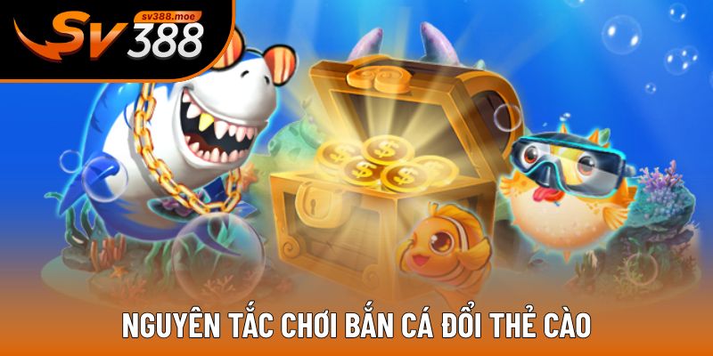 Những quy định mà người chơi cần biết Những quy định mà người chơi cần biết