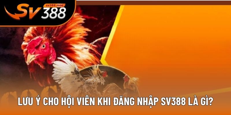 Lưu ý cho hội viên khi đăng nhập SV388 là gì? Lưu ý cho hội viên khi đăng nhập SV388 là gì?