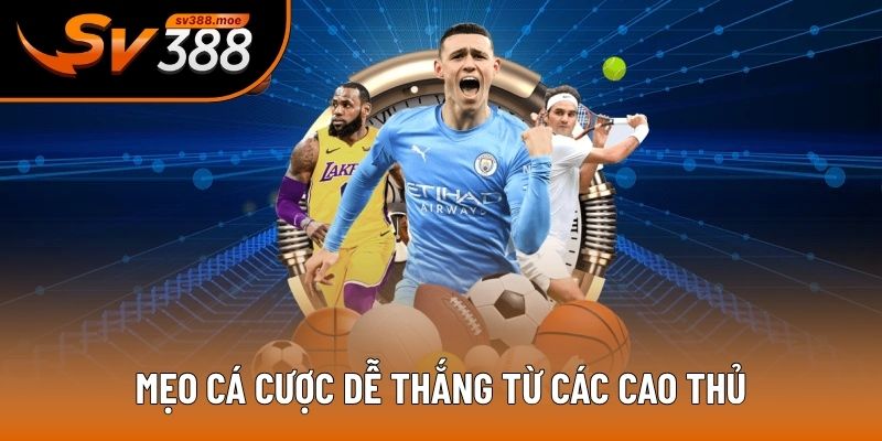 Mẹo cá cược dễ thắng từ các cao thủ Mẹo cá cược dễ thắng từ các cao thủ