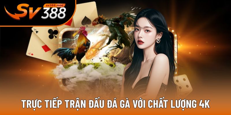 Các lượt trận được trực tiếp với chất lượng sắc nét Các lượt trận được trực tiếp với chất lượng sắc nét