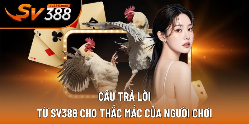 Câu trả lời từ SV388 cho thắc mắc của người chơi Câu trả lời từ SV388 cho thắc mắc của người chơi